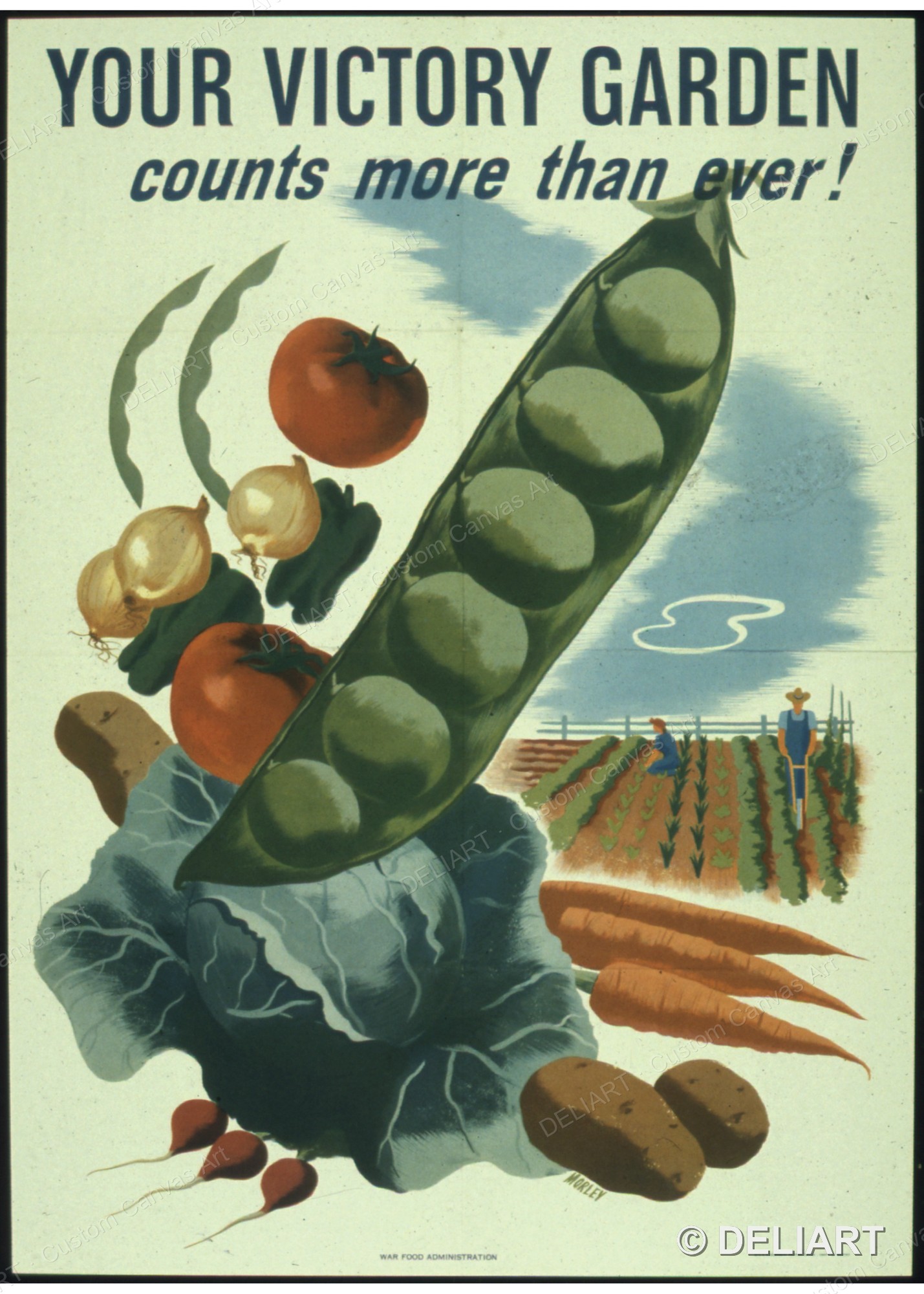 Victory Home Decor - YOUR VICTORY GARDEN COUNTS MORE THAN